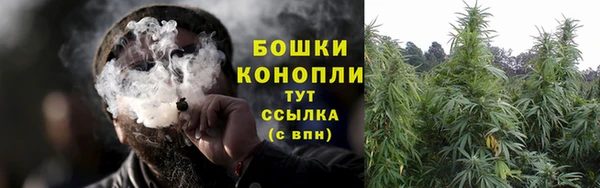 мяу мяу мука Абаза