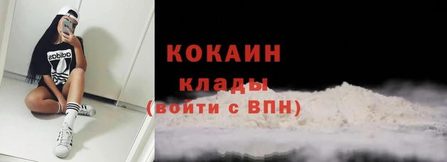 кокс Алзамай